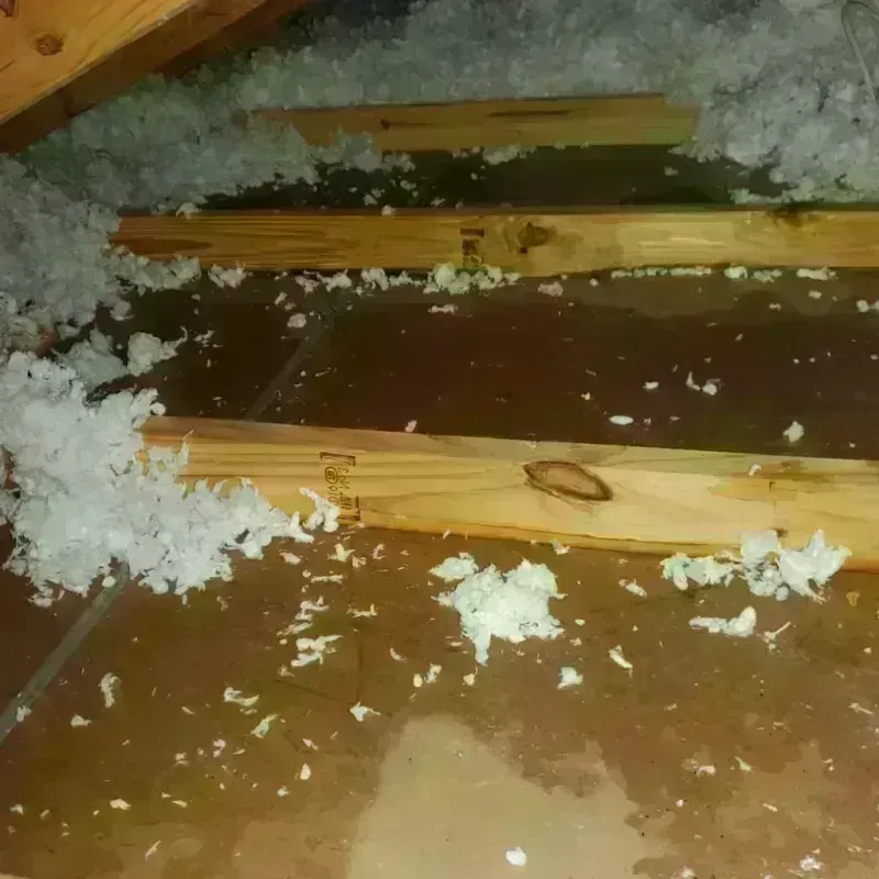 Attic Water Damage in Lawrenceville, VA